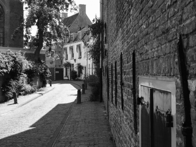 tsf-fujifilm-x100vi-review-16 tsf-fujifilm-x100vi-review-16