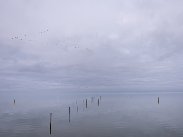 tsf-landschap- tsf-landschap-