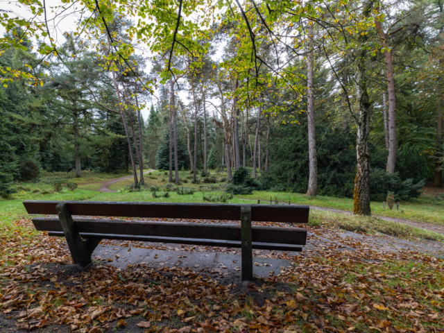 tsf-opdracht-utrechts-landschap-8577