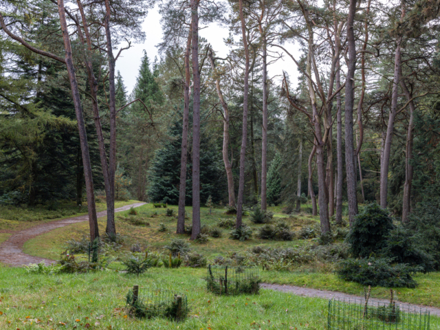 tsf-opdracht-utrechts-landschap-8581