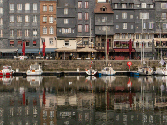 tsf-review-canon-r50-v-2099