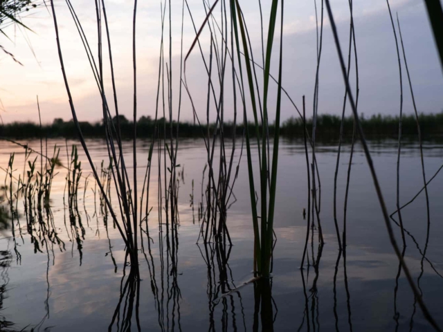 tsf-review-fujifilm-xs20-20