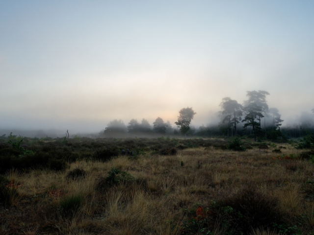 tsf-review-sony-a6700-cn-5710 tsf-review-sony-a6700-cn-5710