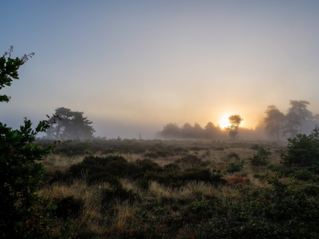 tsf-review-sony-a6700-cn-5771 tsf-review-sony-a6700-cn-5771