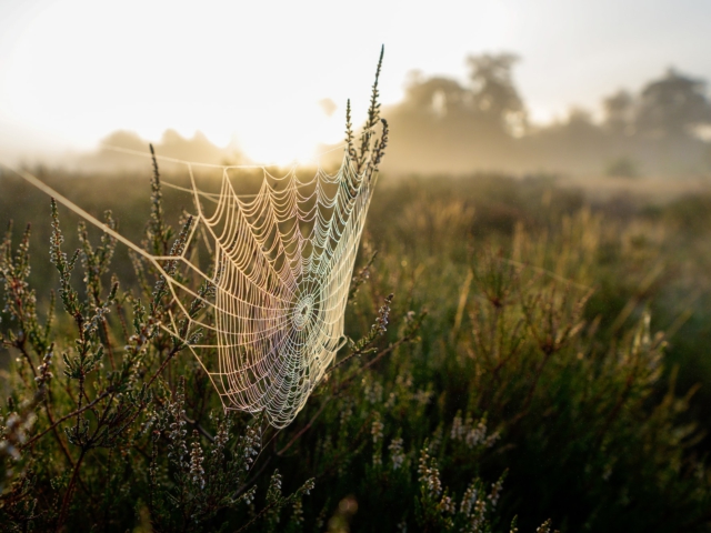 tsf-review-sony-a6700-cn-5889 tsf-review-sony-a6700-cn-5889