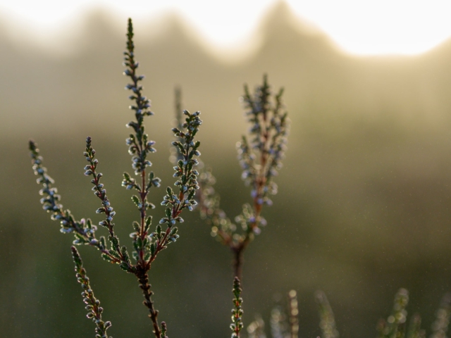 tsf-review-sony-a6700-cn-5937 tsf-review-sony-a6700-cn-5937