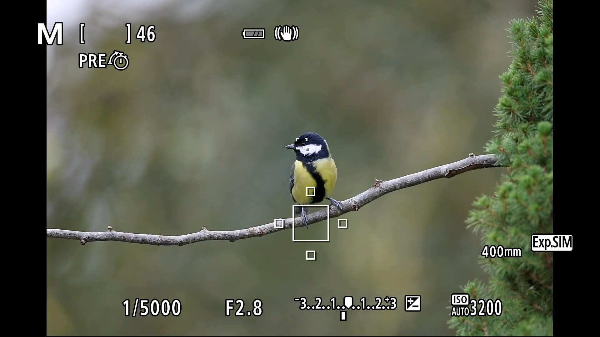 pre-continuous shooting in de zoeker van de Canon EOS R8 Mark II
