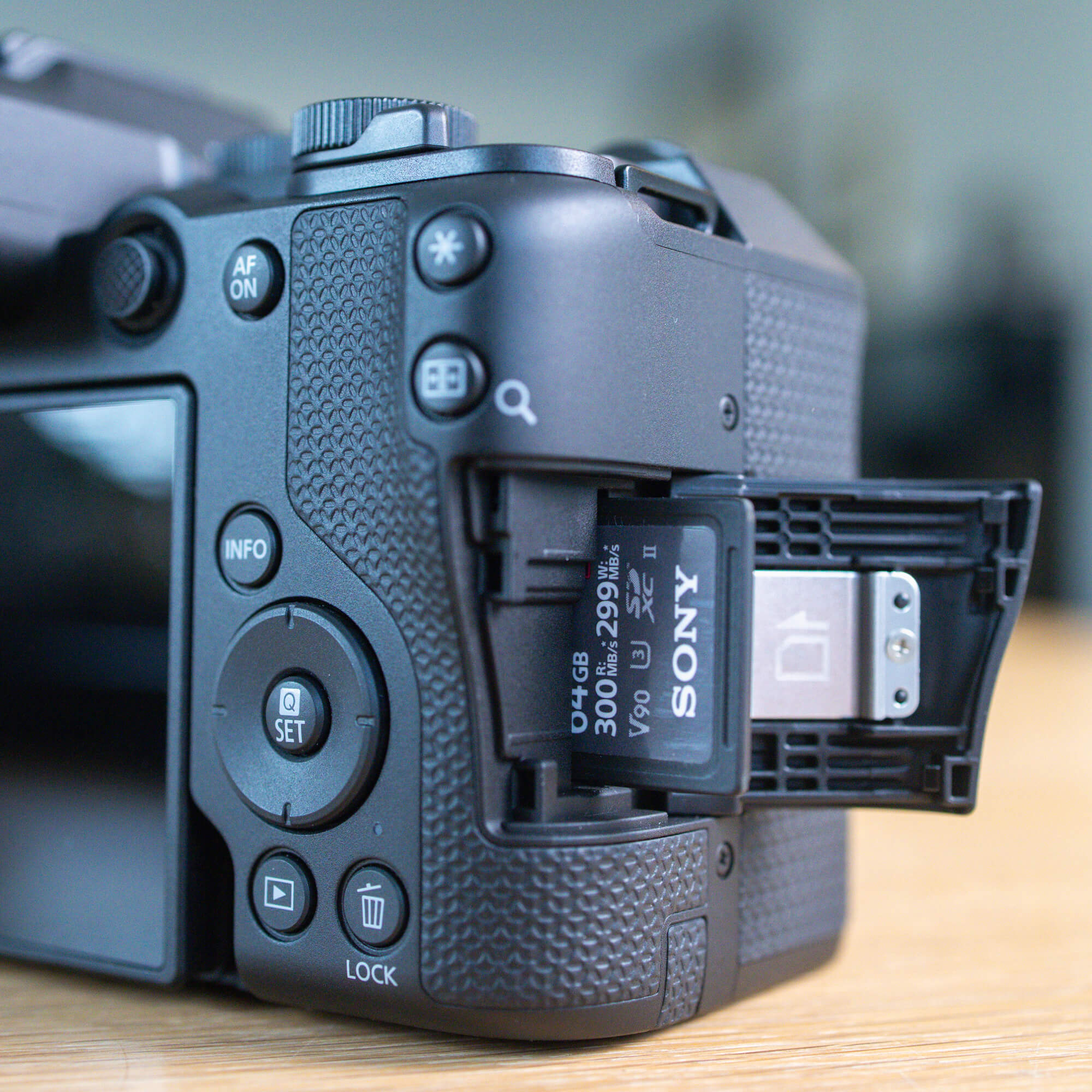 canon eos r8 ii sample photo