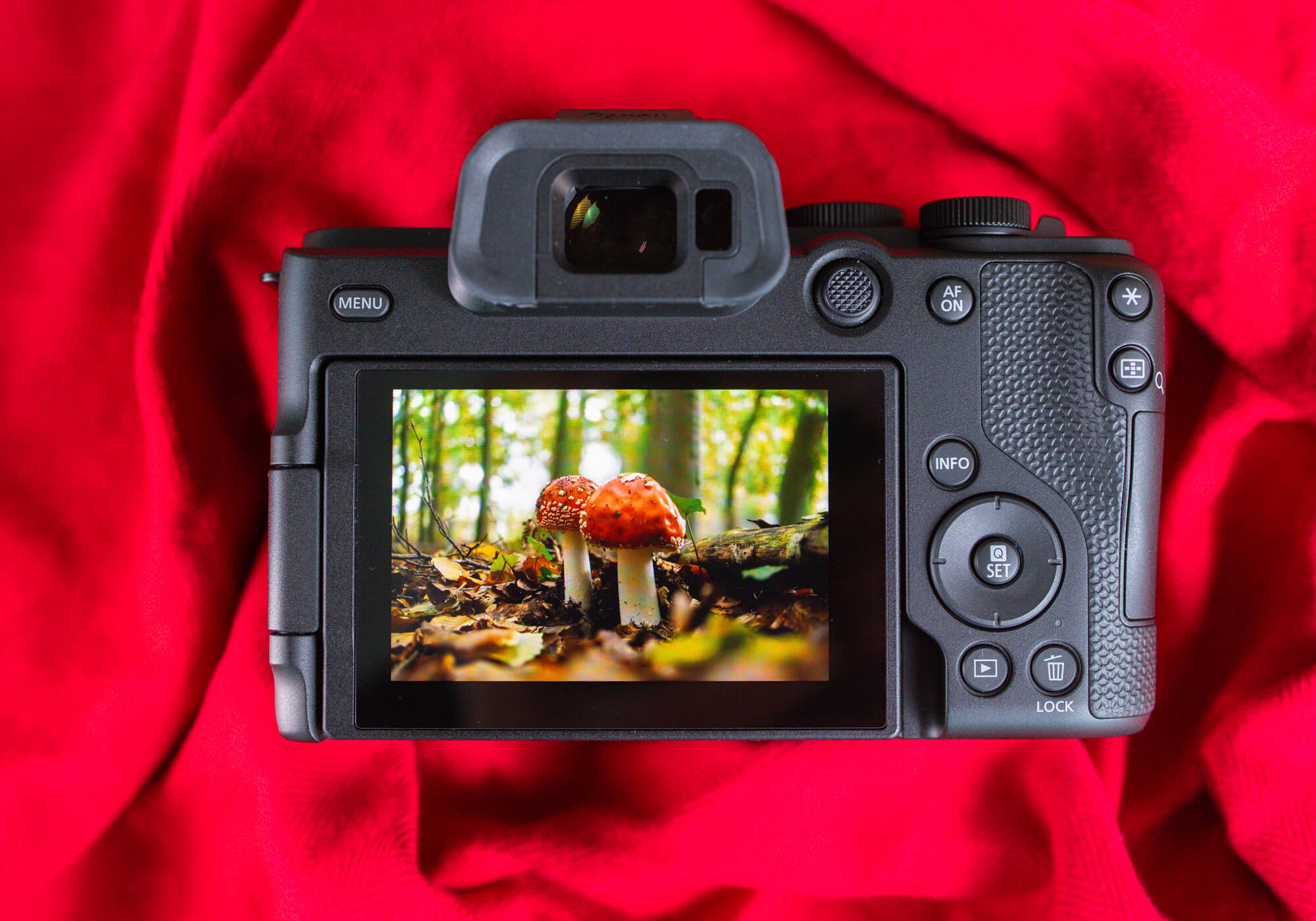 canon r8 ii review