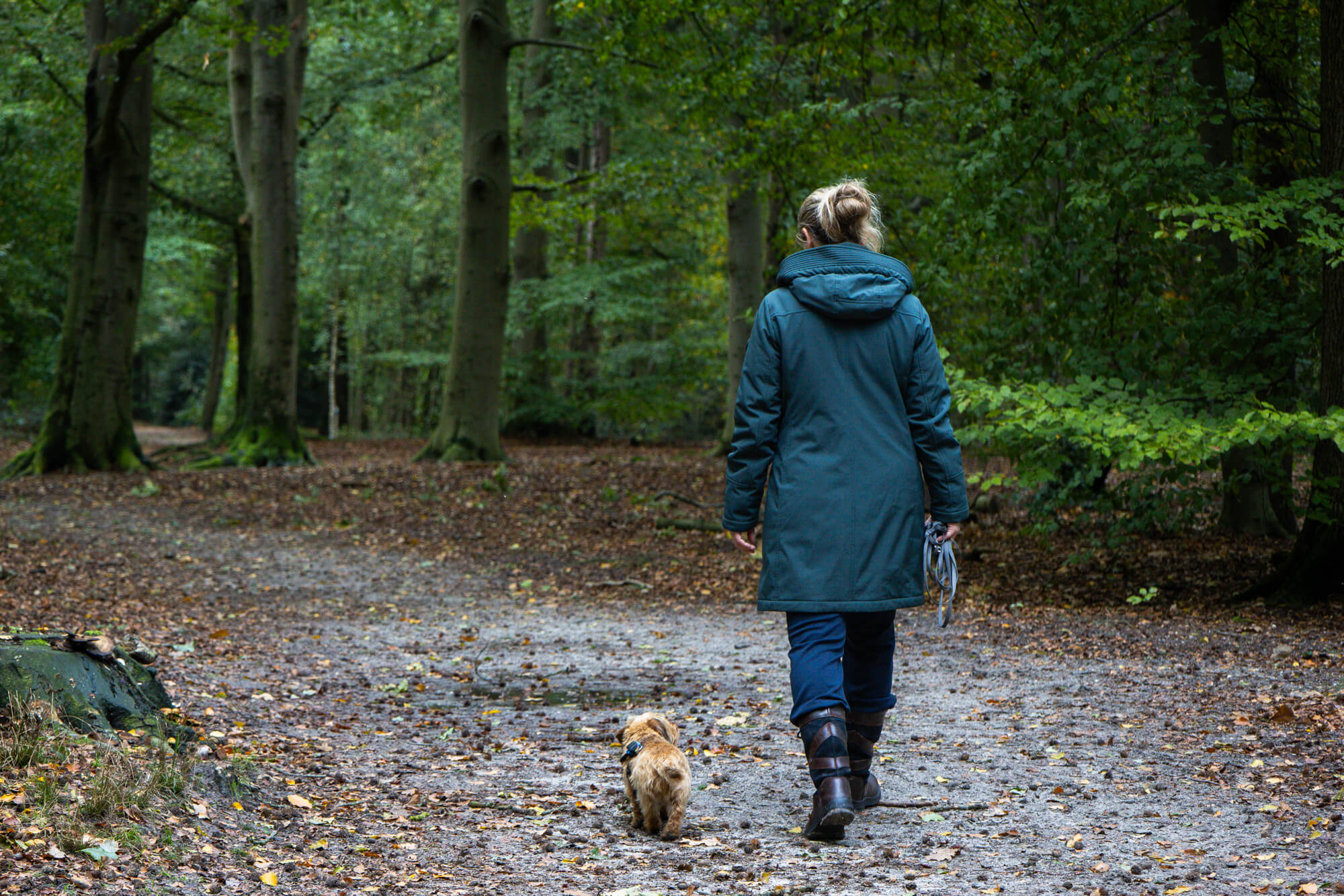 wandelen in het bos met de Canon EOS R8 Mark II