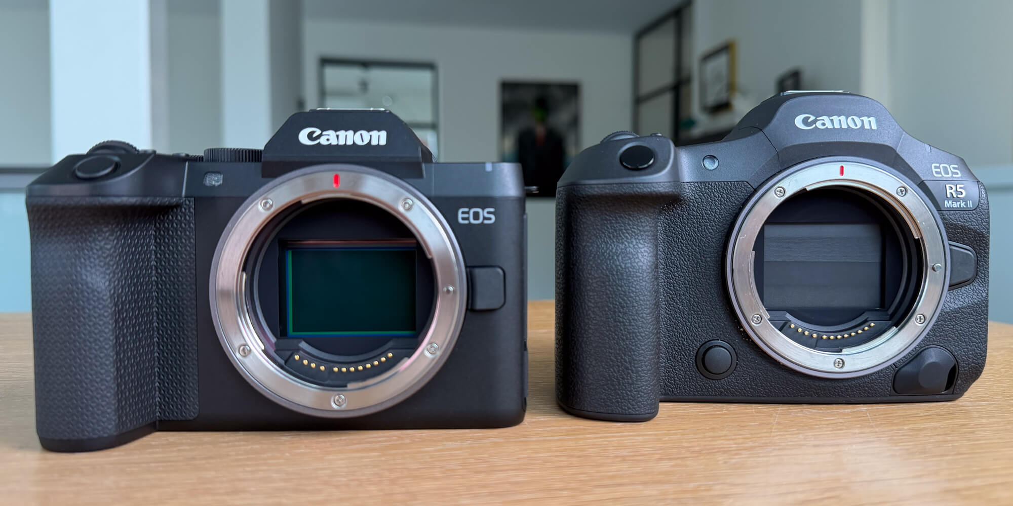 canon eos r8 ii vs r5 mark ii