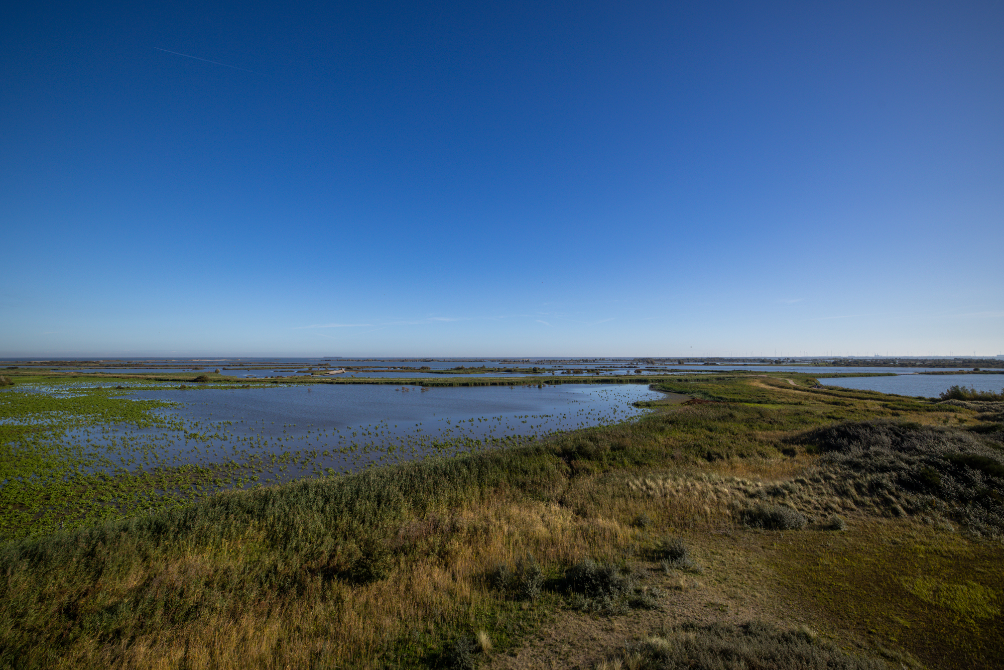 Uitzicht vanaf de uitkijktoren over de plassen en rietvelden van de Marker Wadden