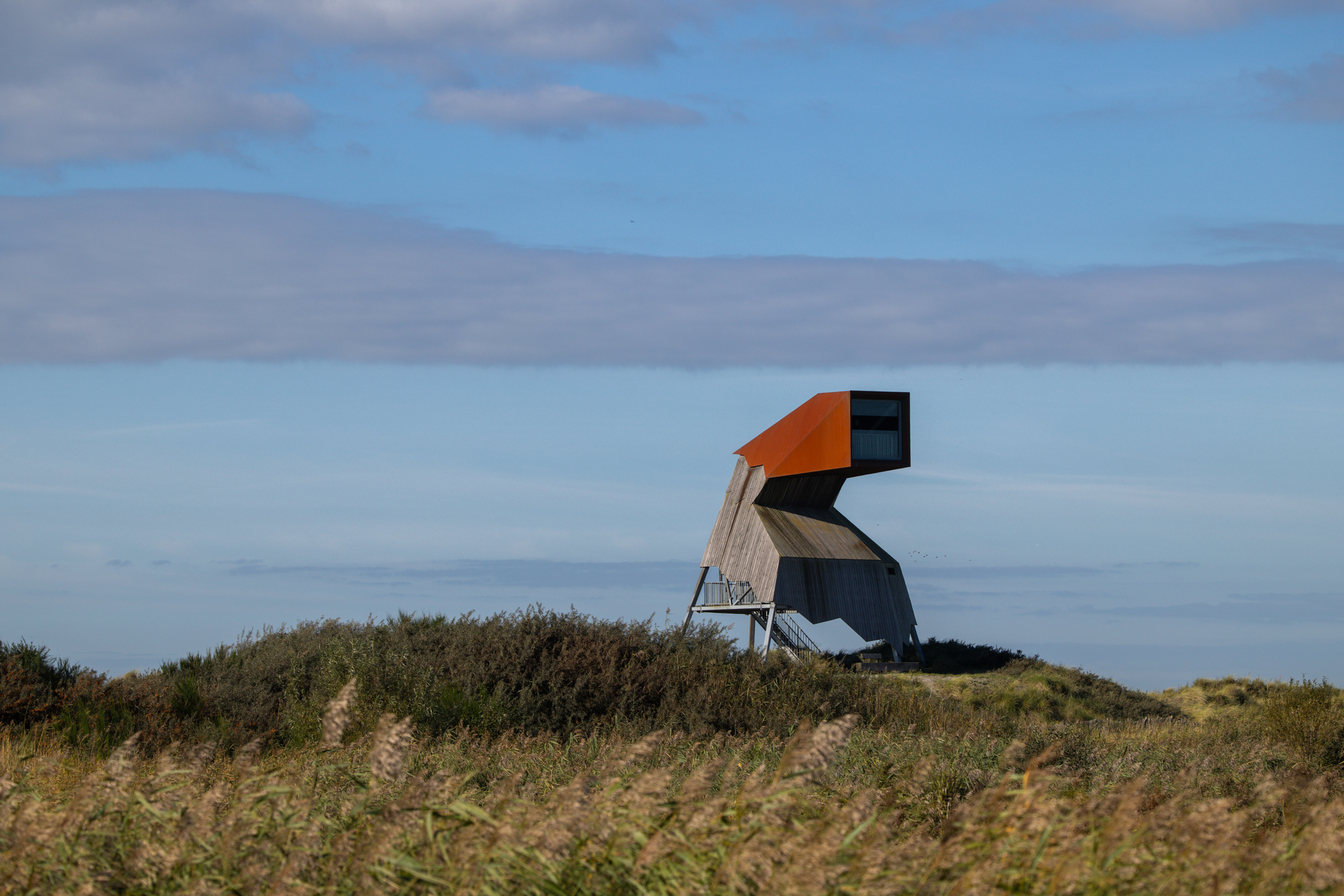 Uitkijktoren De Steltloper boven het wuivende riet en de duintjes van de Marker Wadden